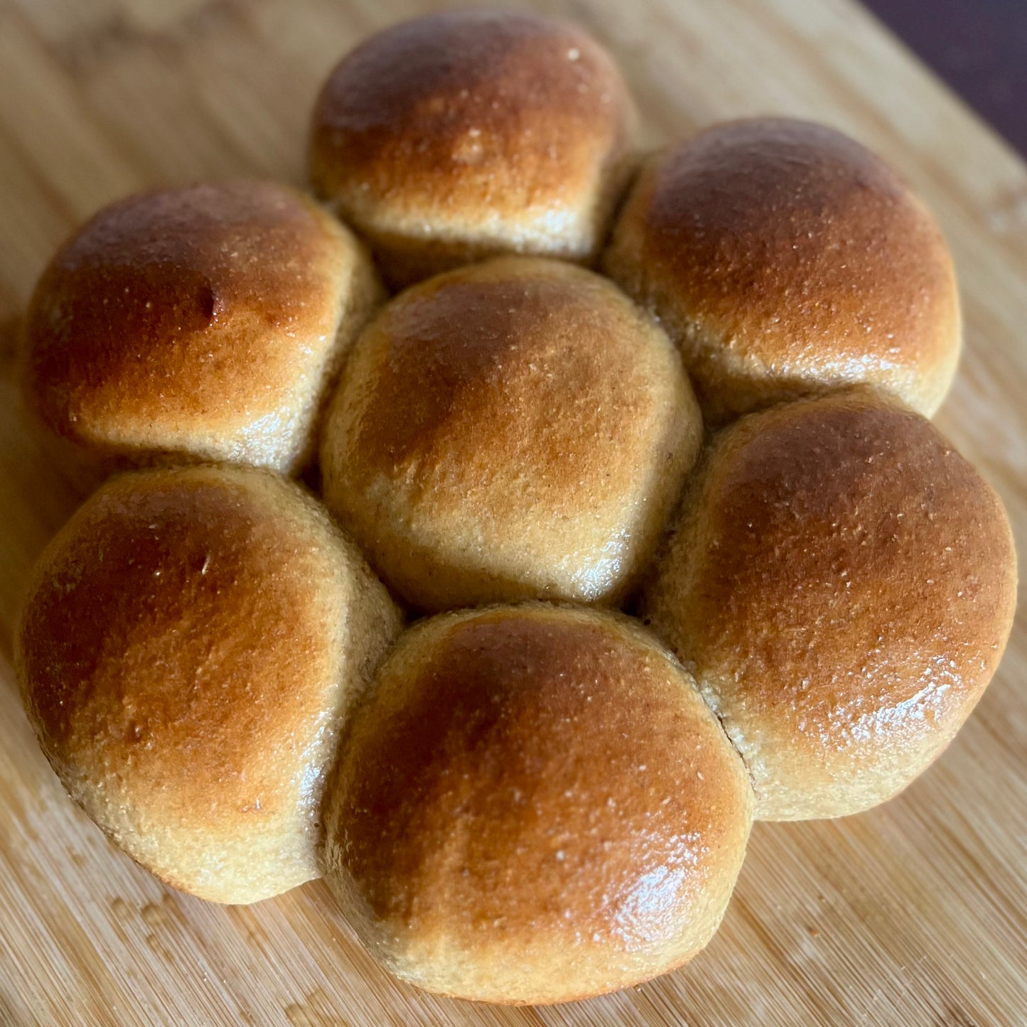 Baking Bread with Freshly Milled Flour with Stacey of Spring Hollow Mill (6/29)
