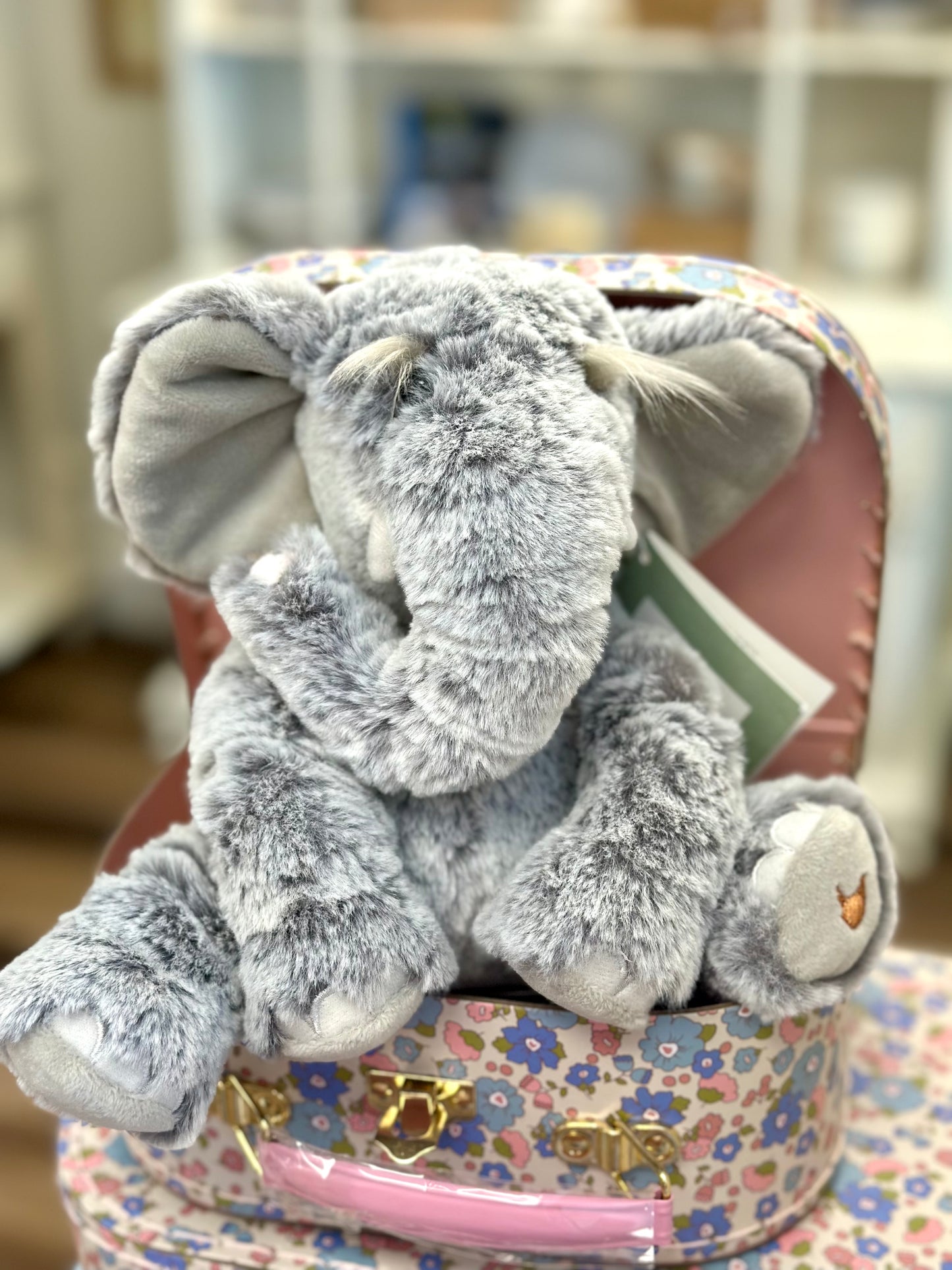 WD Plushie