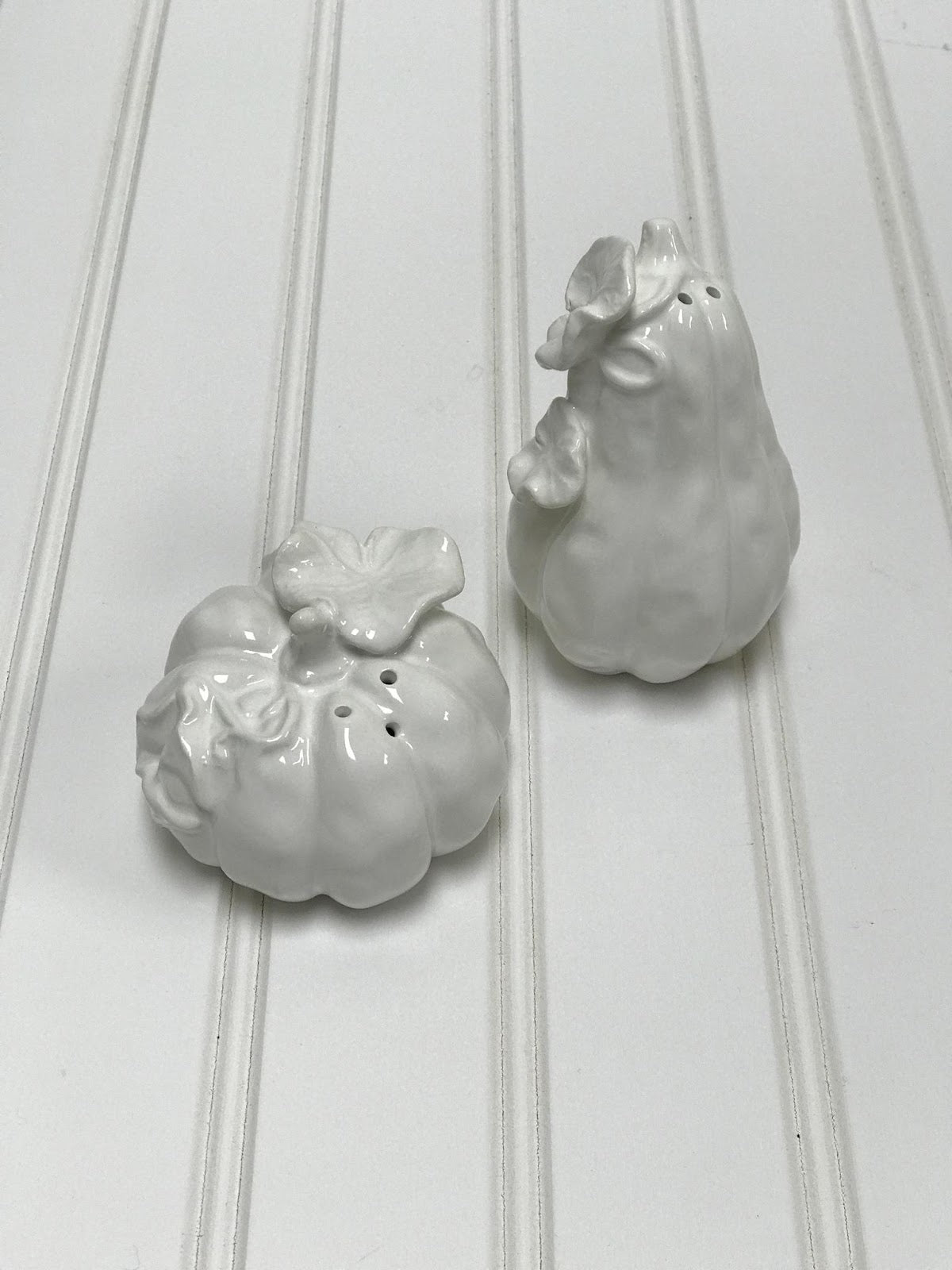 TG Pumpkin & Gourd S&P Set